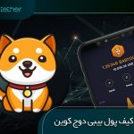 بهترین کیف پول بیبی دوج کوین