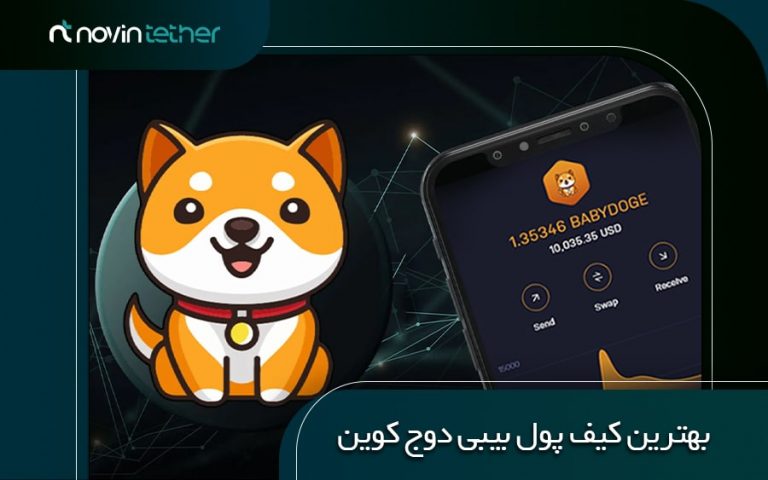 لیست بهترین کیف پول های بیبی دوج کوین (Baby Doge)